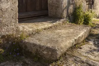 Weathered stone doorstep of a village house in Haute-Marne, with moss, wildflowers, and warm late afternoon light creating a poetic ambiance.